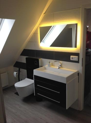 La salle de bains est pourvue d'un lavabo, de toilettes et d'un miroir. dans l'établissement Glewitz Am Alten Fährhaus, à Garz