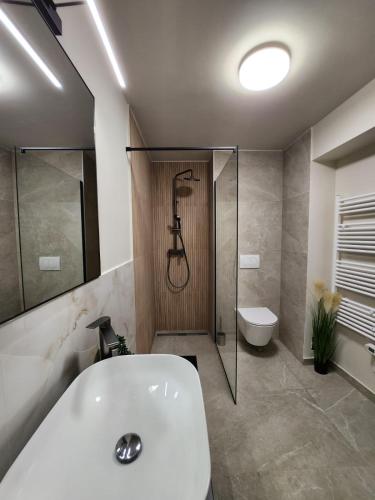 a bathroom with a shower and a white bath tub at Rio Luxury Rooms in Split