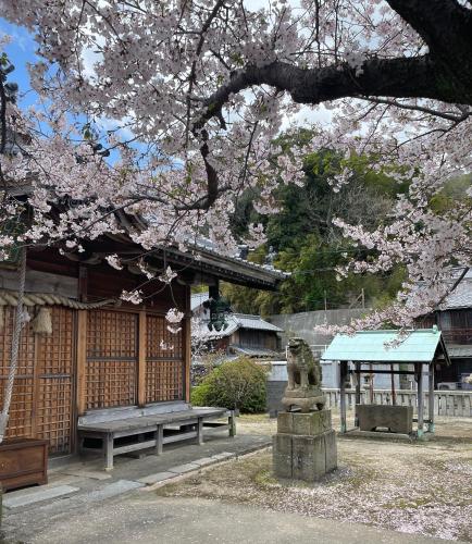 a park with benches and a tree with pink flowers at 浪漫宿花町 in Mitarai