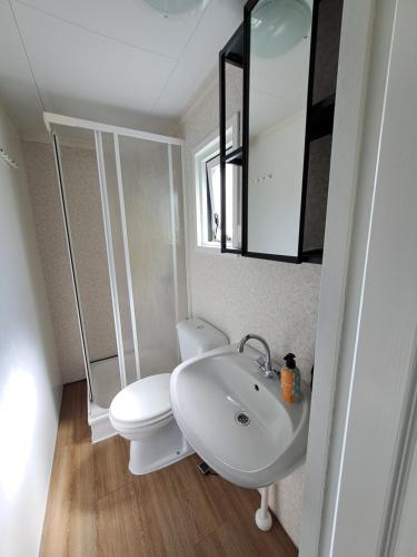 a bathroom with a toilet and a sink and a mirror at Chalet Eben Haëzer in Rheezerveen