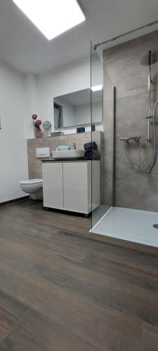 a bathroom with a shower and a sink at Ferienwohnung Wulf in Schmallenberg