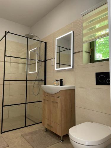 a bathroom with a toilet and a sink and a shower at Agroger Üdülő in Balatonudvari