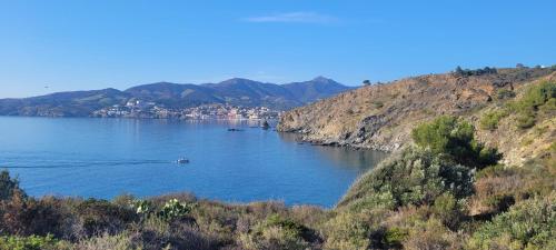 a view of a lake with a town in the distance at Mas del Roumany in Port-Vendres