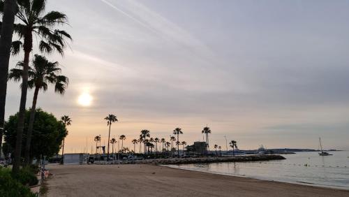 a beach with palm trees and the ocean at Golfe Juan Studio in Vallauris