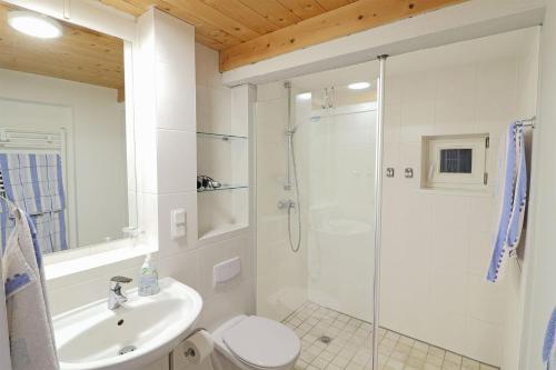 y baño con ducha, aseo y lavamanos. en Ferienhaus- die KATE in Barth am Bodden, en Barth