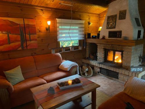 a living room with a couch and a fireplace at Blockhaus FerienZauber in Bromskirchen