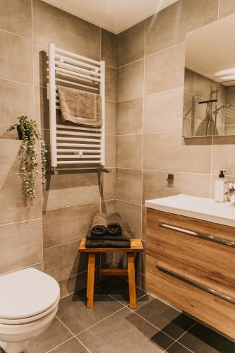 a bathroom with a toilet and a sink at Appartement Wadpier in Buren