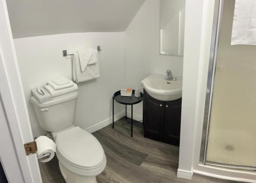 a bathroom with a toilet and a sink at Auberge Doucet Inn in Chéticamp