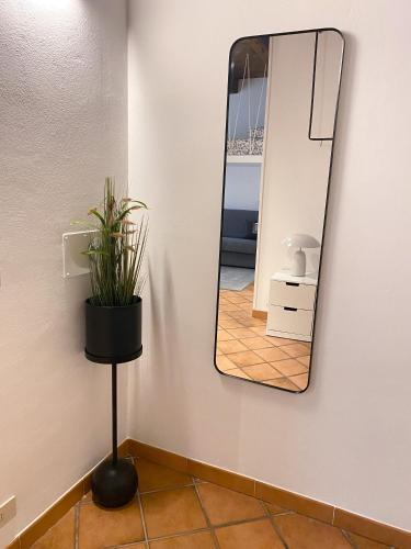 ein Spiegel an einer Wand mit einer Topfpflanze in der Unterkunft Appartamento in centro storico L&L house in Imola