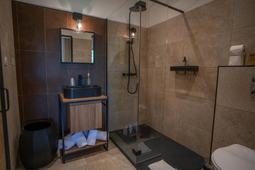 La salle de bains est pourvue d'un lavabo et d'une douche. dans l'établissement Résidence Casarina, à Bonifacio