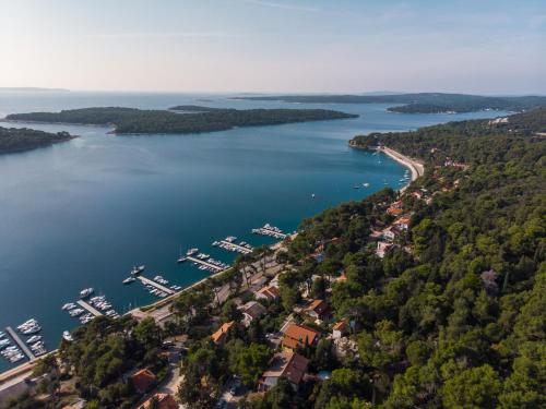 an aerial view of a lake with boats in the water at Exclusive Apartments Milahomes by the sea, boot mooring and private parking in Mali Lošinj