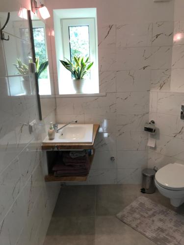 a bathroom with a sink and a toilet at Viesu nams Baņuta1 in Saulkrasti