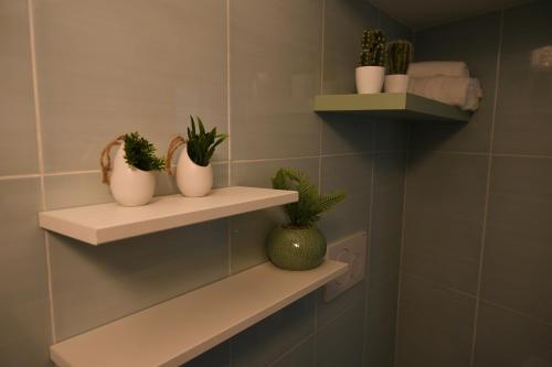 a bathroom with shelves with potted plants on them at Jolie Maison in Brindisi