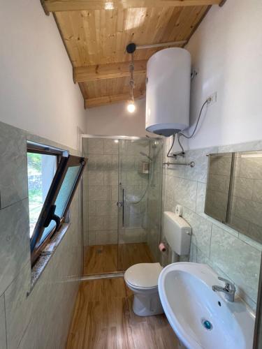 ein Bad mit einem WC, einem Waschbecken und einer Dusche in der Unterkunft Turi-Selcë 