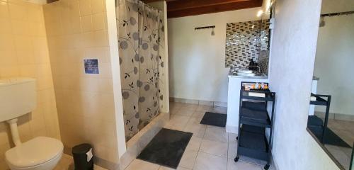 フェレイラ・ド・ゼッゼレにあるQuinta Floresのバスルーム(トイレ、シャワー付)