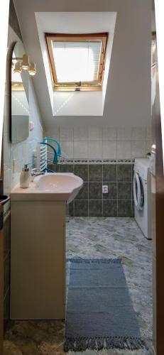 a bathroom with a sink and a washing machine at Apartmán na Koskách in Třeboň