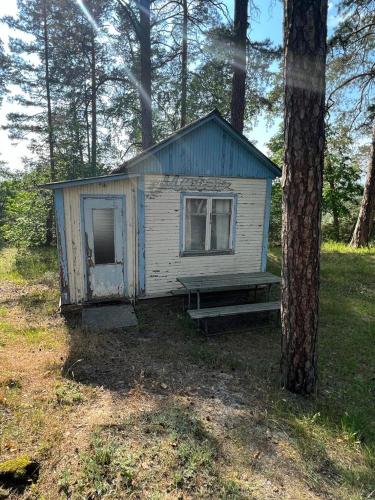 a small house in a field next to a tree at База відпочинку Енергія in Rudnya Peskovskaya
