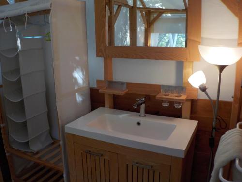 La salle de bains est pourvue d'un lavabo, d'un miroir et d'une douche. dans l'établissement Lodge de Travo, à Ventiseri