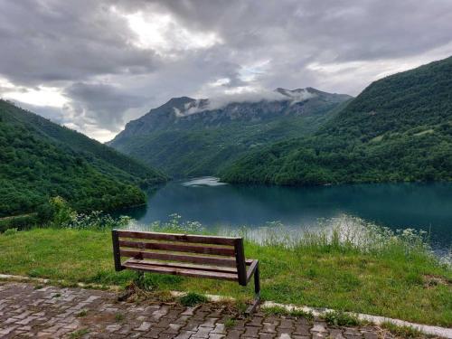 a bench sitting on the side of a lake at Apartman PAVLE in Pluzine