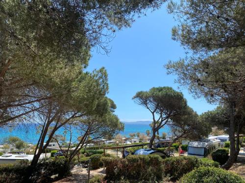 a view of the ocean from a park with trees at Camping Le Camp Du Domaine in Bormes-les-Mimosas
