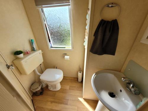 een kleine badkamer met een wastafel en een toilet bij Chalet E009 with a large garden in Renswoude