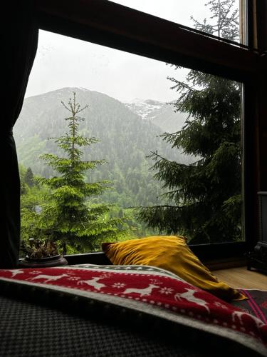 Landskap semula jadi dekat dengan chalet