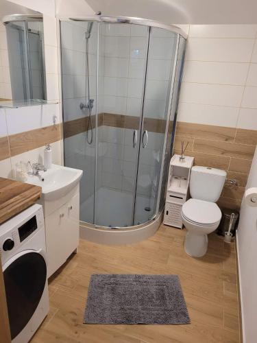 ein Bad mit einer Dusche, einem WC und einem Waschbecken in der Unterkunft Domek na Mazurach in Angerburg