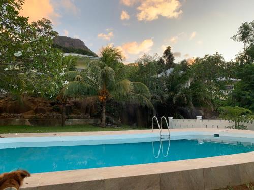 Piscina di Naturalis - Oceanview Residences o nelle vicinanze