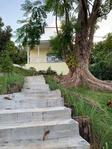 Giardino di Naturalis - Oceanview Residences