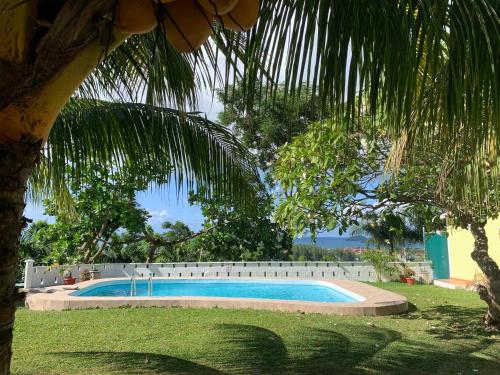 a swimming pool in a yard with a palm tree at Naturalis - Oceanview Residences in Mahe