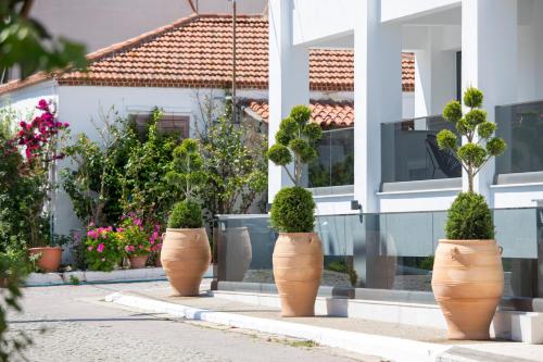 Gallery image of Alexandrion Appartments Down Town Adults Only in Sarti