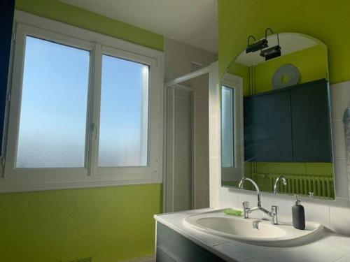 een groene badkamer met een wastafel en een spiegel bij Bogota - maison familiale - tramway - Canal+/sport in Le Mans
