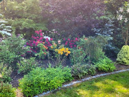 ogród pełen kolorowych kwiatów w obiekcie BukowyRAJ w Łagowie