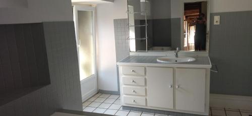 a bathroom with a sink and a mirror at Gite de la Ville aux Bois in Parigné