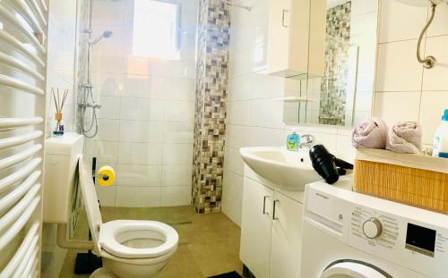y baño con aseo y lavamanos. en zentrale,vollausgestattete Ferienwohnung - 3 Zimmer, Petrovic, en Kapfenberg