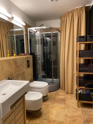 a bathroom with a shower and a toilet and a sink at Roja apartment Baltic in Roja