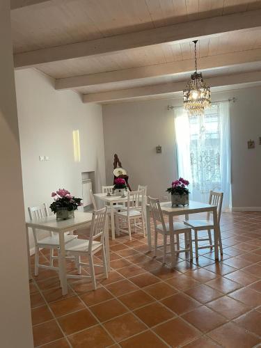 Fotografie z fotogalerie ubytování B & B La casa dei sogni v destinaci Casapulla