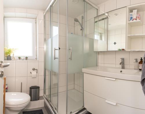 a bathroom with a shower and a toilet and a sink at #2 Großes Zimmer mit Pool und Garten in Memmingen