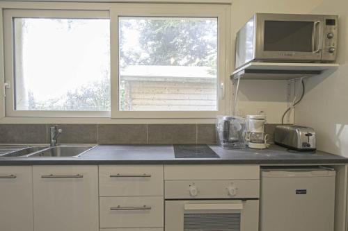 eine Küche mit einer Spüle und einer Mikrowelle in der Unterkunft Gold Beach Studio in Tracy-sur-Mer