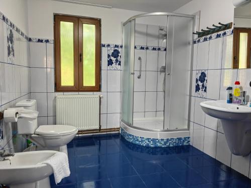 的住宿－Casa Zina，带淋浴、卫生间和盥洗盆的浴室