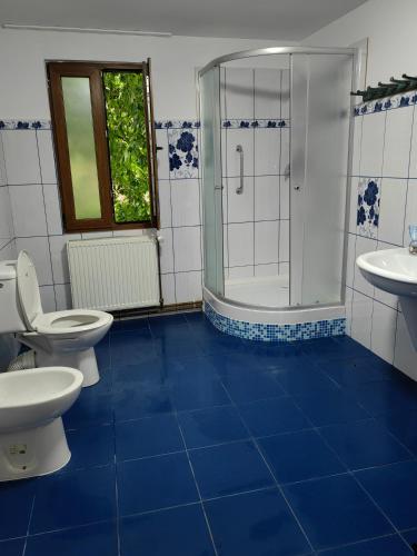 a blue tiled bathroom with two toilets and a shower at Casa Zina - inchiriere integrala in Lăpuşnicu Mare