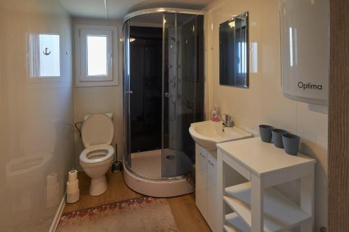 a bathroom with a shower and a toilet and a sink at DOMKY U rieky in Liptovská Teplá