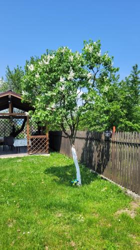 Casa Dana في ريسنوف: شجرة في ساحة بجانب سياج