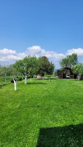 Casa Dana في ريسنوف: شجرتين في ميدان عشب أخضر