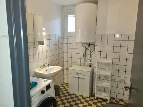 La petite salle de bains est pourvue d'un lavabo et d'un lave-linge. dans l'établissement Bien proche de Aeroport St Exupéry Village de Marques et Lyon, 