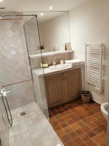 une salle de bain avec une douche, un lavabo et des toilettes dans l'établissement La Bastide du Capelier - Cabane, à Salernes