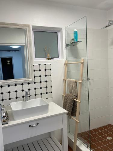 a bathroom with a sink and a glass shower at Bougain Villa Studio 1 in Paternoster