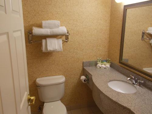 Koupelna v ubytování Holiday Inn Express Syracuse-Fairgrounds by IHG