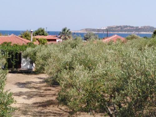Gallery image of Studio 1 Filio - Valti - Sykia - Sithonia in Valtí