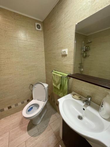 y baño con aseo y lavamanos. en Ary apartments, en Ocna-Mureşului